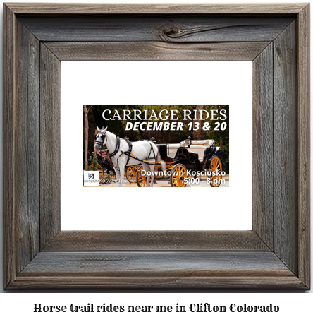 horse trail rides near me in Clifton, Colorado